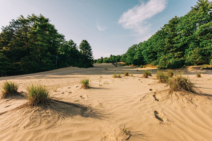 August 2025 Where in Maine? Clue