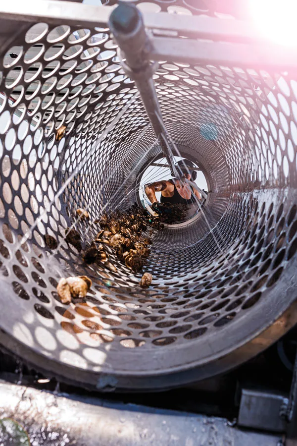 an electric-powered tumbler at Blackstone Point Oyster