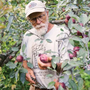 pomologist John Bunker with a rare Drap D’Or de Bretagne tree